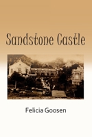 Sandstone Castle 1499687656 Book Cover