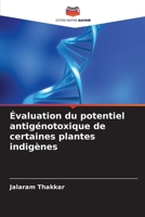 Évaluation du potentiel antigénotoxique de certaines plantes indigènes (French Edition) 6208734762 Book Cover