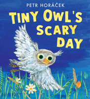 Tiny Owl's Scary Day 1536235873 Book Cover