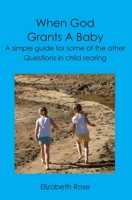 When God Grants A Baby: A simple guide for some of the other questions in child rearing 1419655272 Book Cover