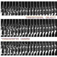 Transitional Object 1946031518 Book Cover