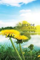 Beside Still Waters 162697425X Book Cover