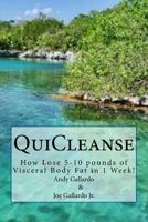 QuiCleanse: How Lose 5-10 pounds of Visceral Body Fat in 1 Week! 069260555X Book Cover