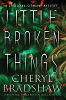 Little Broken Things B0C2CHGW4H Book Cover