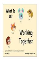 What is it: Work together with Sam, Judy, Ray and Sandy to solve the mystery in the photograph. 1986785041 Book Cover