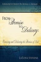 From Promise to Delivery: Conceiving and Delivering the Promises of God 0983633606 Book Cover