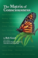 The Matrix of Consciousness : The Mathematics of the Science of Reincarnation 1735118508 Book Cover