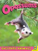 Opossums (Backyard Animals) 1590366778 Book Cover