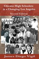 Chicano High Schoolers in a Changing Los Angeles 1622495497 Book Cover