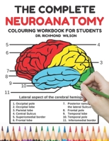 The Complete Neuroanatomy Colouring workbook for students: The Ultimate Human brain student's self-test colouring book, UK Edition: Fun, easy and ... students (Neuroscience colouring book) B08KH3T4S8 Book Cover