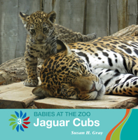 Jaguar Cubs 1534158944 Book Cover