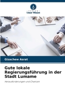 Gute lokale Regierungsführung in der Stadt Lumame (German Edition) 6209944027 Book Cover