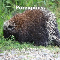 Porcupines 8.5 X 8.5 Calendar September 2021 -December 2022: Monthly Calendar with U.S./UK/ Canadian/Christian/Jewish/Muslim Holidays-Nature Animals Wildlife B0922TJ8TD Book Cover