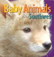 Baby Animals of the Southwest 0873589246 Book Cover