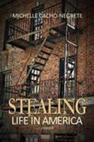 Stealing: Life In America: A Collection of Essays 0999516418 Book Cover