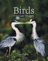 Birds: Intimate Images Volume 2 1949248739 Book Cover