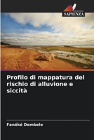 Profilo di mappatura del rischio di alluvione e siccità 6205940698 Book Cover