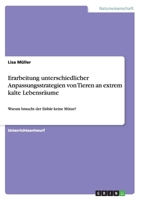 Erarbeitung unterschiedlicher Anpassungsstrategien von Tieren an extrem kalte Lebensr�ume: Warum braucht der Eisb�r keine M�tze? 3656940622 Book Cover