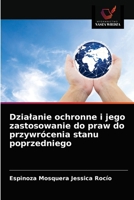 Działanie ochronne i jego zastosowanie do praw do przywrócenia stanu poprzedniego 6203649848 Book Cover
