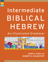 Intermediate Biblical Hebrew: An Illustrated Grammar 0801097622 Book Cover