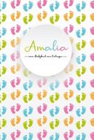 Amalia - Mein Babybuch Zum Eintragen: Personalisiertes, Leeres Baby-Buch Zum Selbstgestalten, in Farbe 109371459X Book Cover