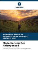 Modellierung Der Rhizogenese (German Edition) 6207444949 Book Cover