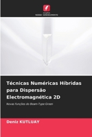 Técnicas Numéricas Híbridas para Dispersão Electromagnética 2D: Novas funções do Beam-Type Green 620525512X Book Cover
