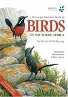 Larger Illustrated Guide to Birds of Southern Africa 1770072438 Book Cover