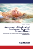 Assessment of Biochemical Leaching of Domestic Sewage Sludge 365914603X Book Cover