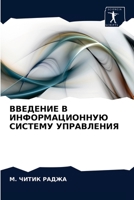 ВВЕДЕНИЕ В ИНФОРМАЦИОННУЮ СИСТЕМУ УПРАВЛ 6203150215 Book Cover