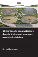 Utilisation de nanomatériaux dans le traitement des eaux usées industrielles (French Edition) 6208400090 Book Cover