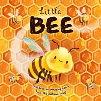 Nature Stories: Little Bee: Padded Board Book 1803684127 Book Cover