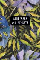 Addresses & Birthdays : Watercolor Blue Tropical Leaves 1793996709 Book Cover