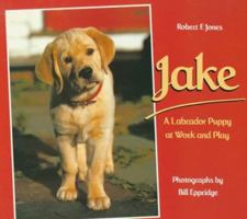 Jake: A Labrador Puppy at Work and Play (A Sunburst Book) 0374336555 Book Cover