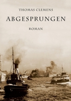 Abgesprungen: Roman 3347077156 Book Cover