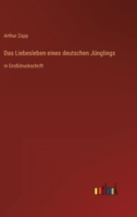 Das Liebesleben Eines Deutschen Junglings 3842417152 Book Cover