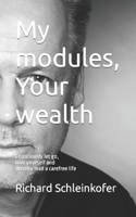My modules, Your wealth: Translation from german original B09PVYDBFG Book Cover