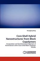 Core-Shell Hybrid Nanostructures from Block Copolymers 383831784X Book Cover