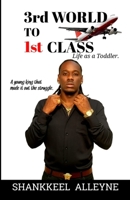 3rd World to 1st Class: Life as a Toddler 976830880X Book Cover