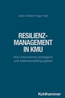 Resilienzmanagement in Kmu: Wie Unternehmen Strategisch Und Widerstandsfahig Agieren (German Edition) 3170445480 Book Cover