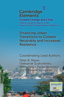 Financing Urban Transitions to Climate Neutrality and Increased Resilience in Cities (Elements in Climate Change and Cities) 1009589172 Book Cover