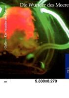 Die Wunder Des Meeres 3864440769 Book Cover