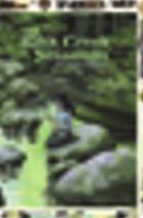 The Rock Creek Shaman 0982335407 Book Cover