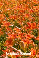 Gratitude Journal: Daylillies A notebook to record all of the things you are grateful for, 6 x 9 100 pages 1692137840 Book Cover