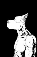 The Lengths 1908030100 Book Cover