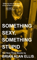 Something Sexy, Something Stupid: The Next Three Books 107840013X Book Cover