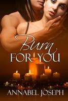 Burn for You 0615644627 Book Cover