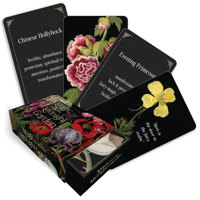 Magic from the Midnight Garden: Dark Beauty, Mystery, and Wisdom (36 Full-Color, Gilt-Edged Cards) 1590035941 Book Cover