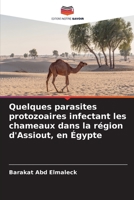Quelques parasites protozoaires infectant les chameaux dans la région d'Assiout, en Égypte (French Edition) 6209948758 Book Cover