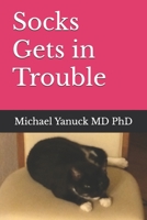 Socks Gets in Trouble 1946600423 Book Cover